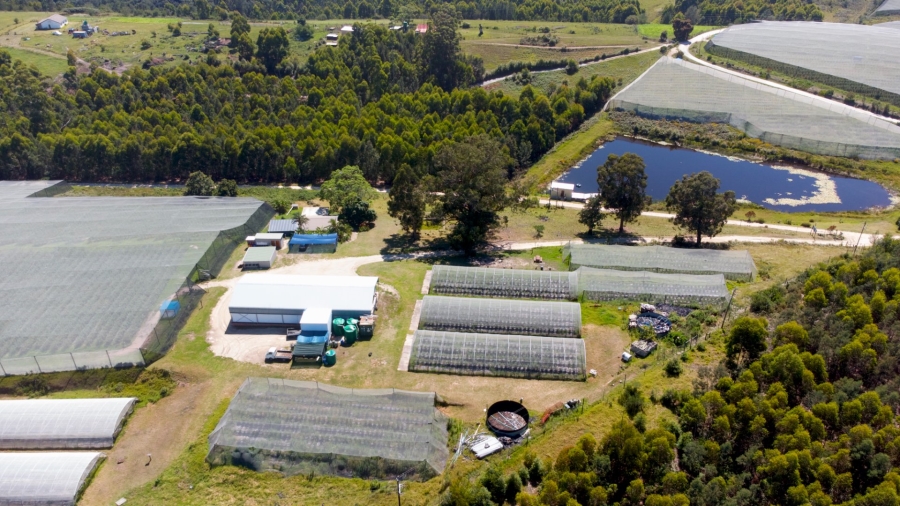 Commercial Property for Sale in Sedgefield Rural Western Cape